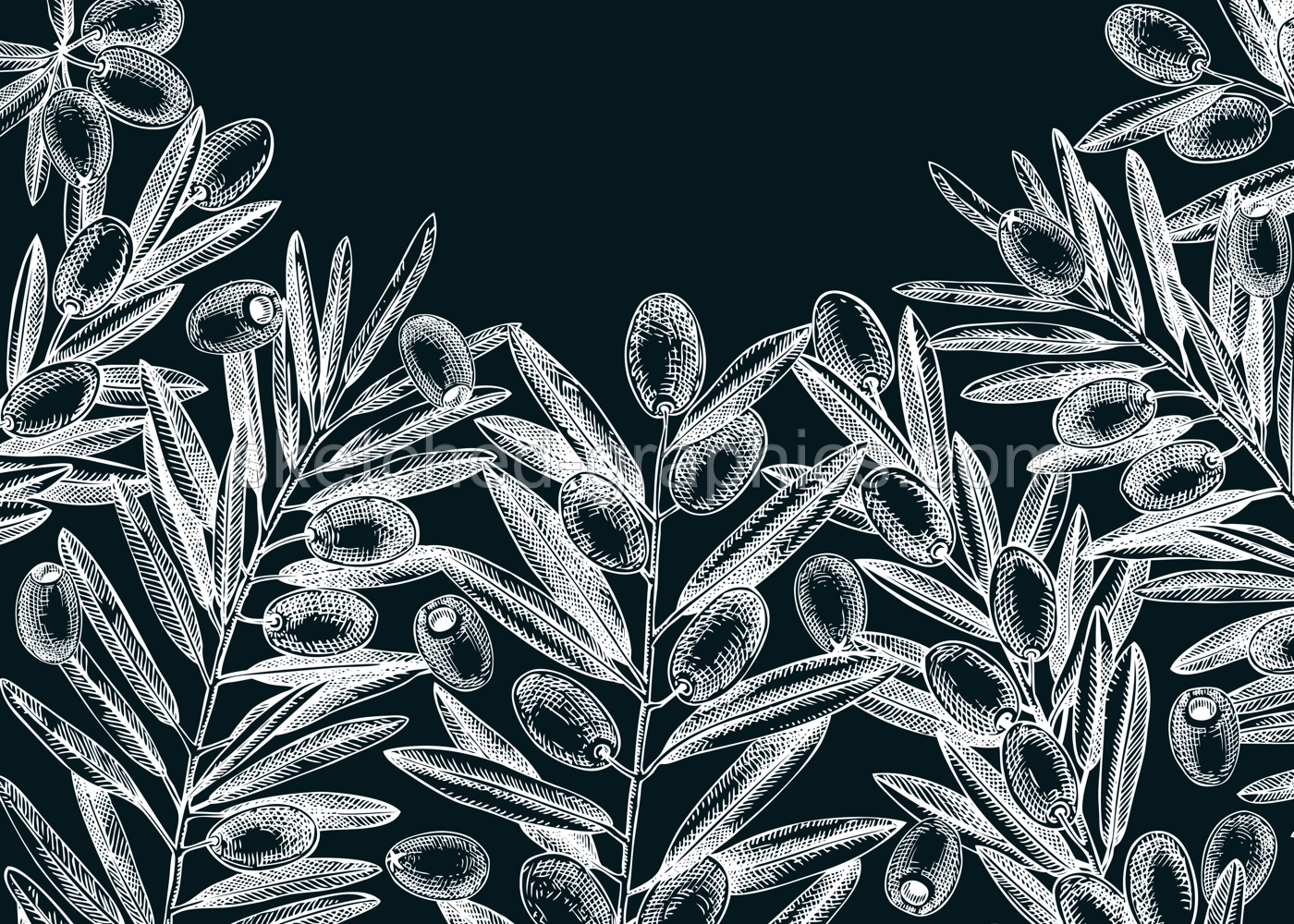 Olive branch background on chalkboard. Vector banner design with leaves and fruits sketches in vintage style. Vegetable oil ingredients illustration. Olive plant template for print and packaging Illustration
